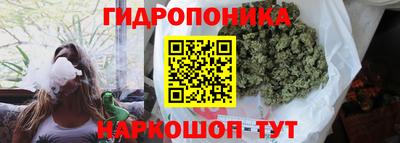 дживик Лесосибирск