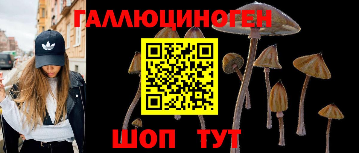 Дивногорск  Псилоцибиновые грибы Magic Shrooms  Вход с VPN 